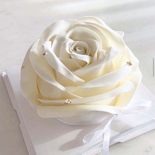 Rose In Full Bloom