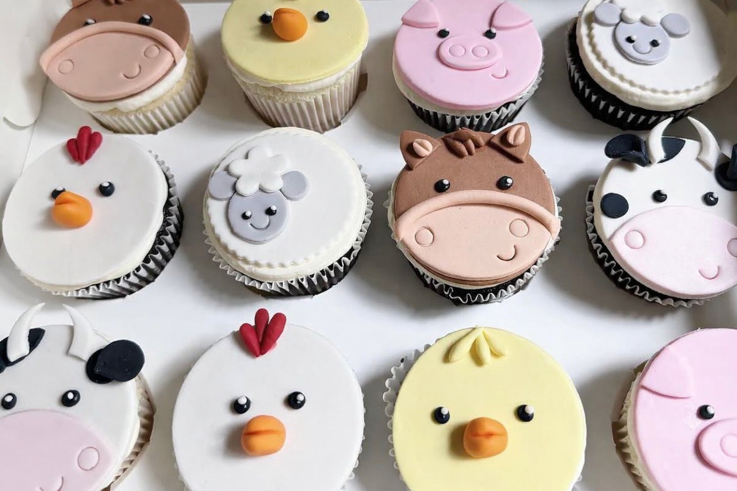 Farm Friends Cupcake Set