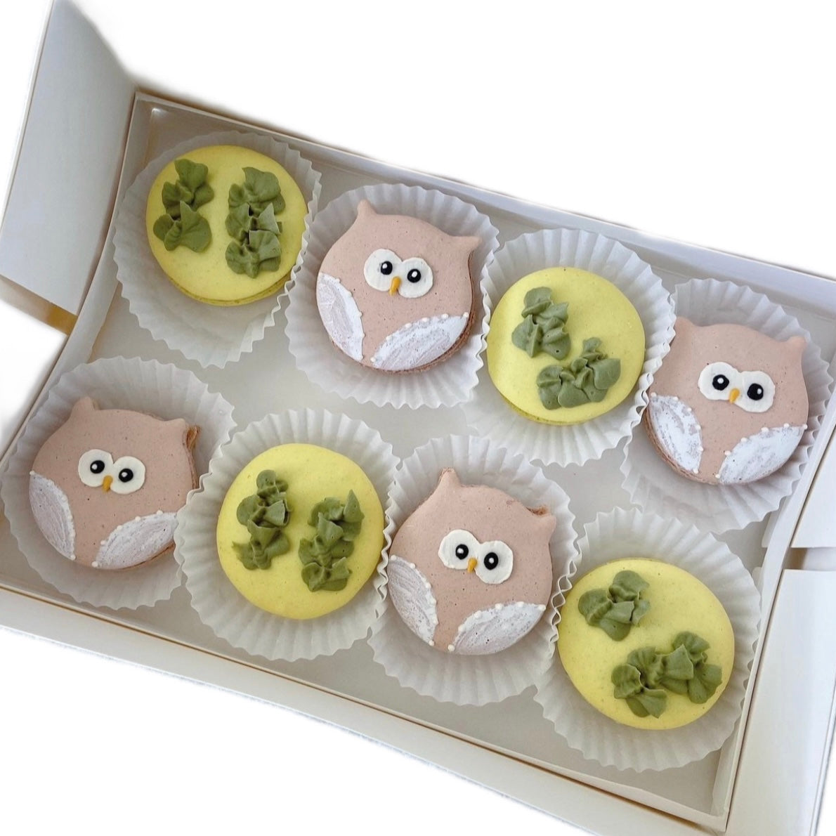 Cute Owl Macaron