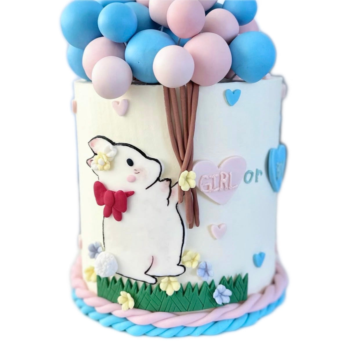 Baby Bunny Gender Reveal Cake