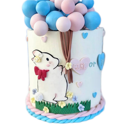 Baby Bunny Gender Reveal Cake