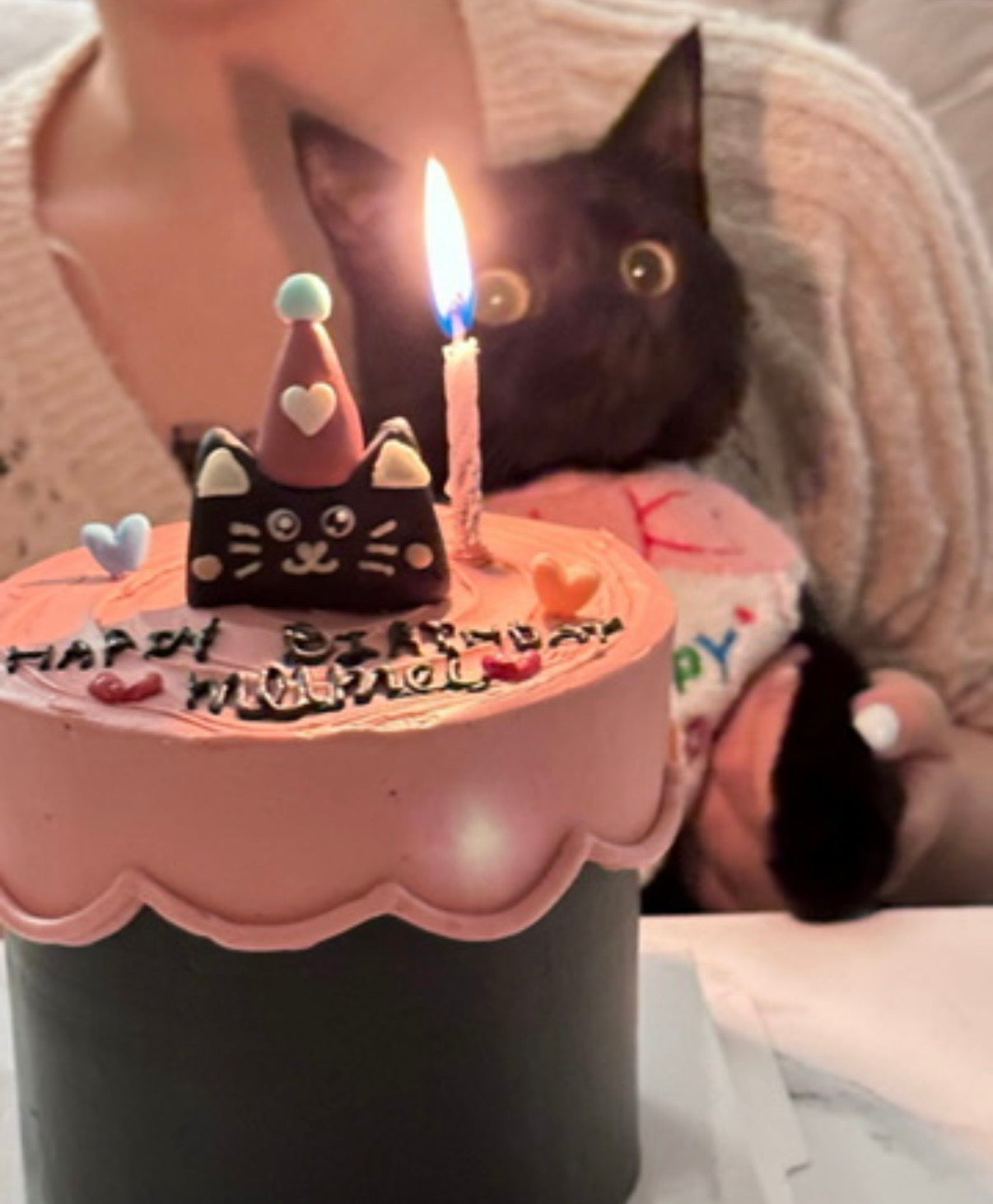 Black Kitty Cake