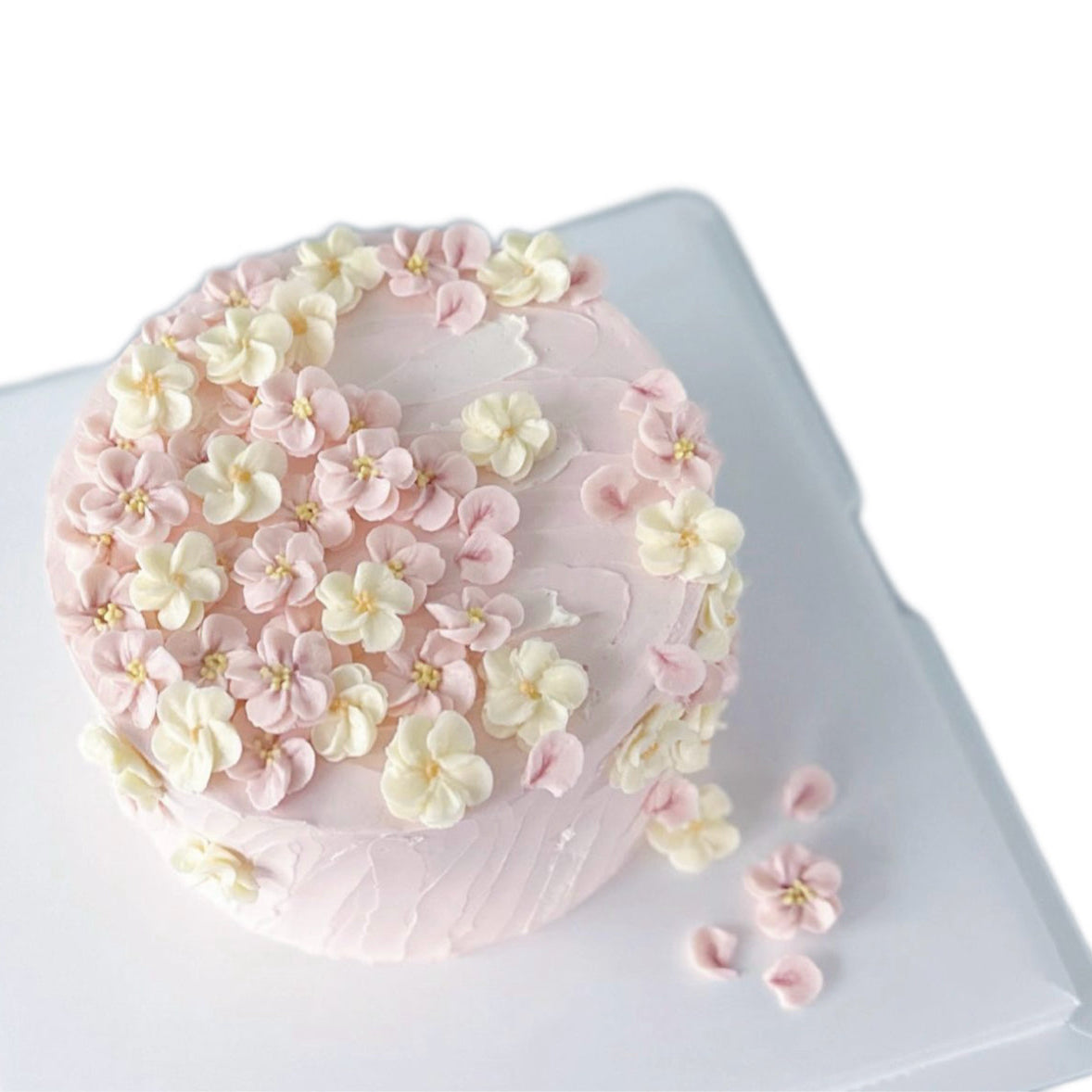 Buttercream Cherry Blossom Cake