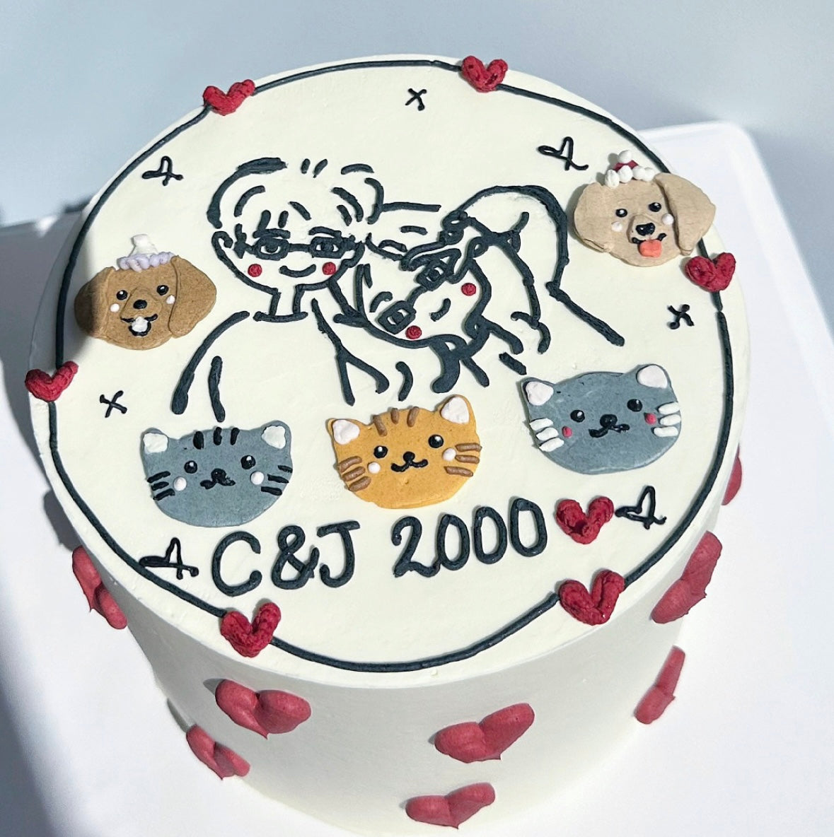 Hand Painted Family Cake